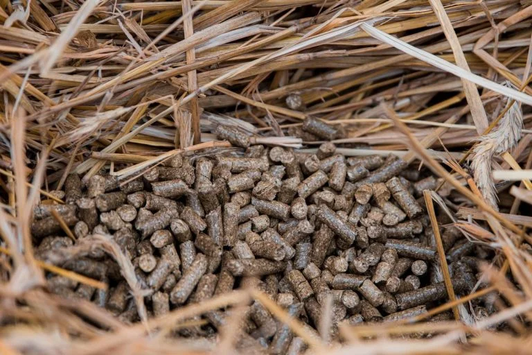 Põhugraanul Põhugraanul