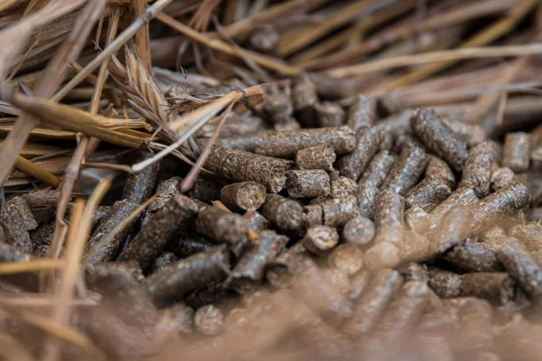 Põhugraanul Põhugraanul